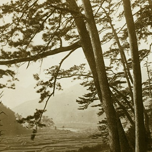 Asia and the Eastern Pacific Rim in Early Prints and Photographs