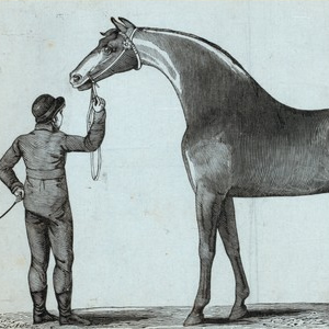 America's First Illustrator: Alexander Anderson